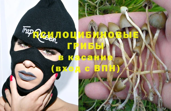 прущая мука Бородино