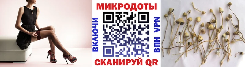 Галлюциногенные грибы мицелий  Конаково 